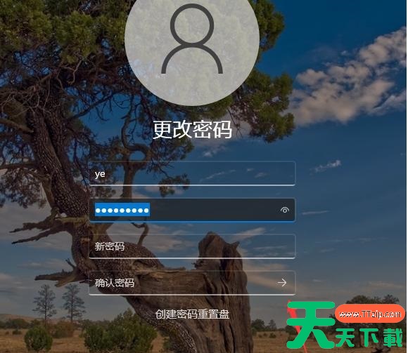 Win11不要密码怎么设置？Win11取消密码登录的步骤教程
