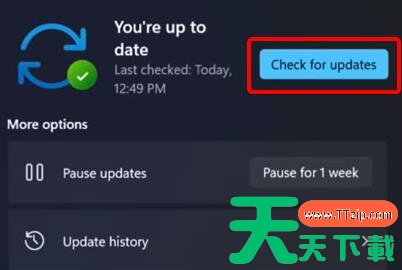 Win11更新卡在0%怎么办？Win11更新卡在0%解决方法