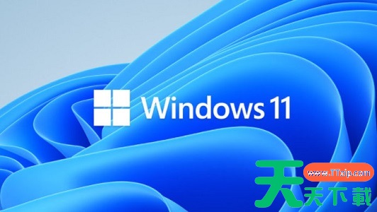Win11 pro是什么版本？Win11 pro介绍