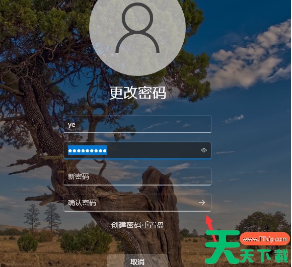 Win11怎么取消开机密码 Win11取消开机密码教程 Win11怎么取消开机密码 Win11取消开机密码教程