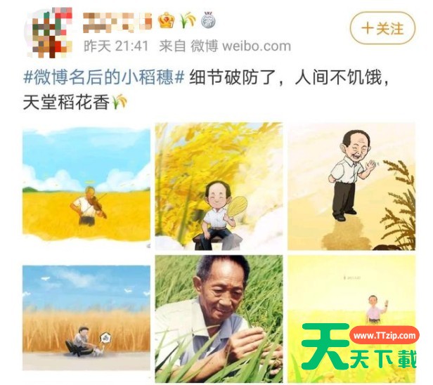 如何设置微博名后面的小稻穗?微博设置名后面的小稻穗教学 如何设置微博名后面的小稻穗?微博设置名后面的小稻穗教学