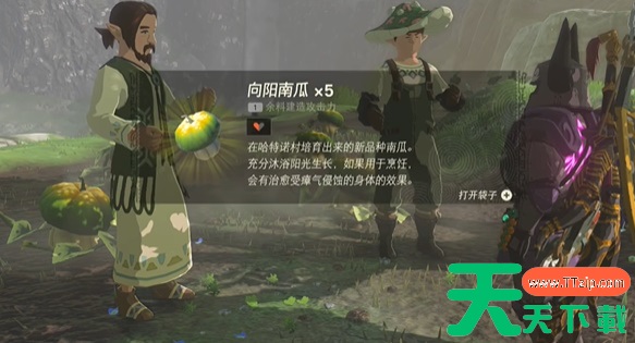 塞尔达传说王国之泪真正的哈特诺名产任务攻略 塞尔达传说王国之泪真正的哈特诺名产任务攻略