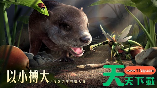 狩猎使命如何搭配最强宠物阵容 具体一览