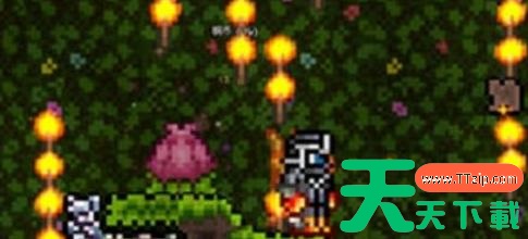 泰拉瑞亚花苞怎么获得 泰拉瑞亚花苞获取方法介绍