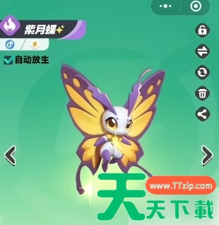 曙光重临最强阵容搭配 版本t0阵容组合一览