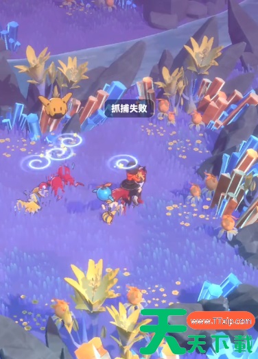 曙光重临红宠在哪里 曙光重临红宠位置一览