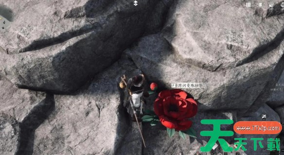 燕云十六声来生岸之一花中愿任务怎么做 燕云十六声来生岸之一花中愿任务攻略方法 燕云十六声来生岸之一花中愿任务怎么做 燕云十六声来生岸之一花中愿任务攻略方法