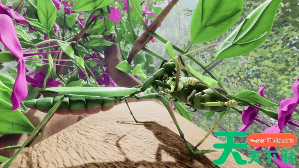 大自然与生命：沉迷花蜜免安装绿色学习版[v1.0.4.5.1]