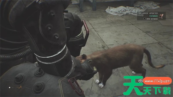 时间旅者曙光重生A站流程攻略分享