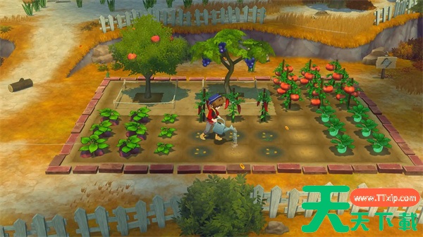 牧场物语风之繁华集市蜂蜜获取方法