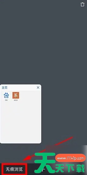 alook浏览器无痕模式在哪里 alook无痕浏览教程