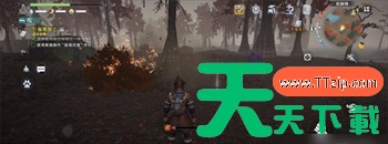 荒原曙光复活石怎么获得