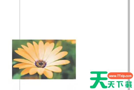 coreldraw怎么自动调整位图?coreldraw自动调整位图的方法 coreldraw怎么自动调整位图?coreldraw自动调整位图的方法