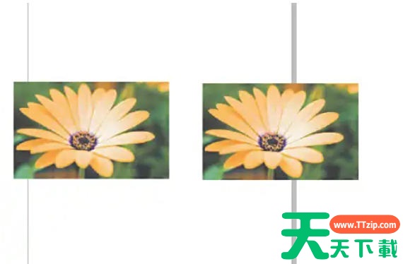 coreldraw怎么自动调整位图?coreldraw自动调整位图的方法 coreldraw怎么自动调整位图?coreldraw自动调整位图的方法