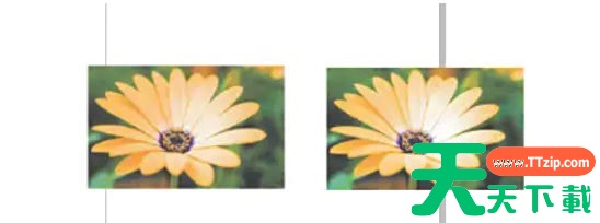 coreldraw怎么自动调整位图?coreldraw自动调整位图的方法