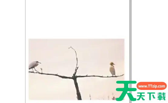 coreldraw怎么矫正图片?coreldraw矫正图片的方法