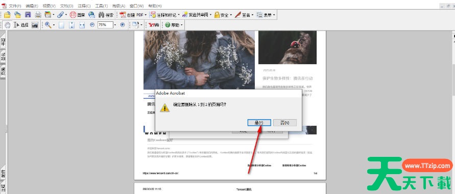 AdobeAcrobat怎么删除页面?AdobeAcrobat删除页面的方法