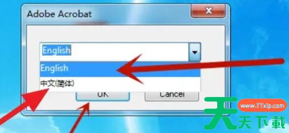 AdobeAcrobat怎么设置中文?AdobeAcrobat设置中文的方法