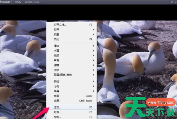 potplayer怎么设置最前端-potplayer设置最前端的方法