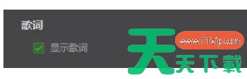 爱奇艺万能播放器怎么开启显示歌词？-爱奇艺万能播放器开启显示歌词的方法