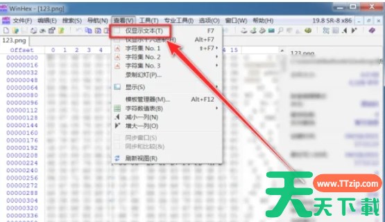 winhex怎么只显示文本-winhex只显示文本的方法