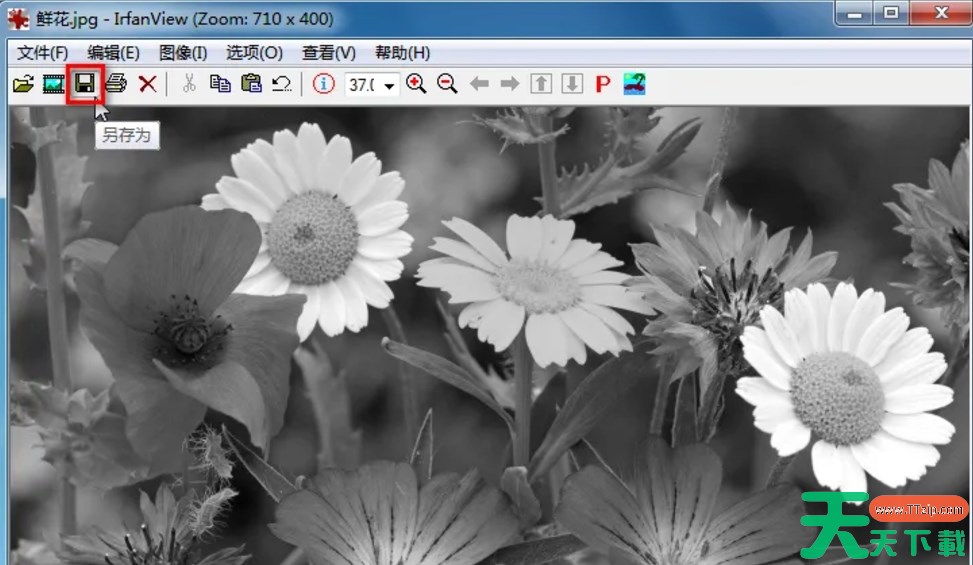irfanview怎么把图片转换为灰度图像？-irfanview把图片转换为灰度图像的方法