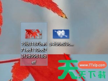 迅雷云盘怎么下载文件？-迅雷云盘下载文件教程