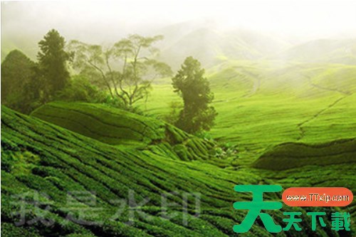 photoshop怎么加logo？-photoshop加logo教程