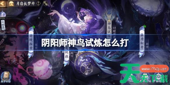阴阳师月自长梦升二阶段怎么打 阴阳师神鸟试炼阵容搭配