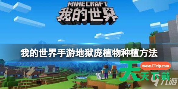 我的世界地狱庞怎么种植?我的世界地狱庞种植方法