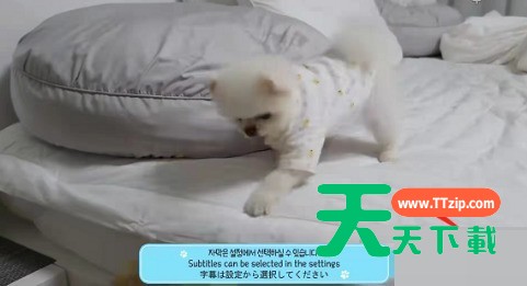 哔哩哔哩怎么录制视频?哔哩哔哩录制视频教程