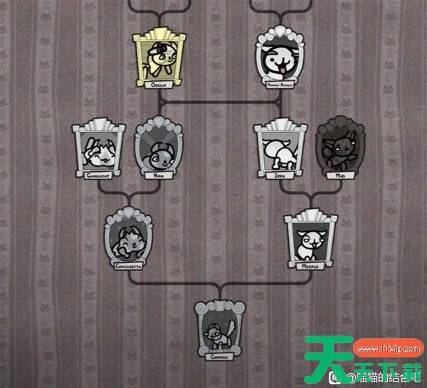 喵喵的结合无近亲怎么培育 喵喵的结合无近亲培育教学