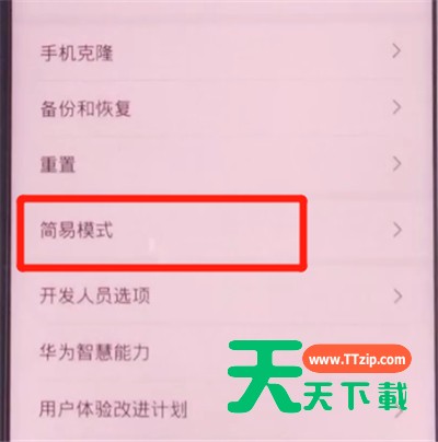荣耀v30pro中开启简易模式的方法步骤-2 荣耀v30pro中开启简易模式的方法步骤-2