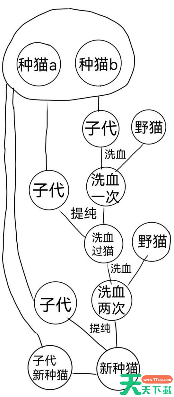 喵喵的结合有什么手段避免近亲 喵喵的结合稳定中低近亲育种方法