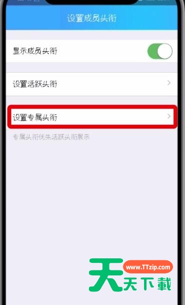 qq群设置专属头衔的方法步骤-5