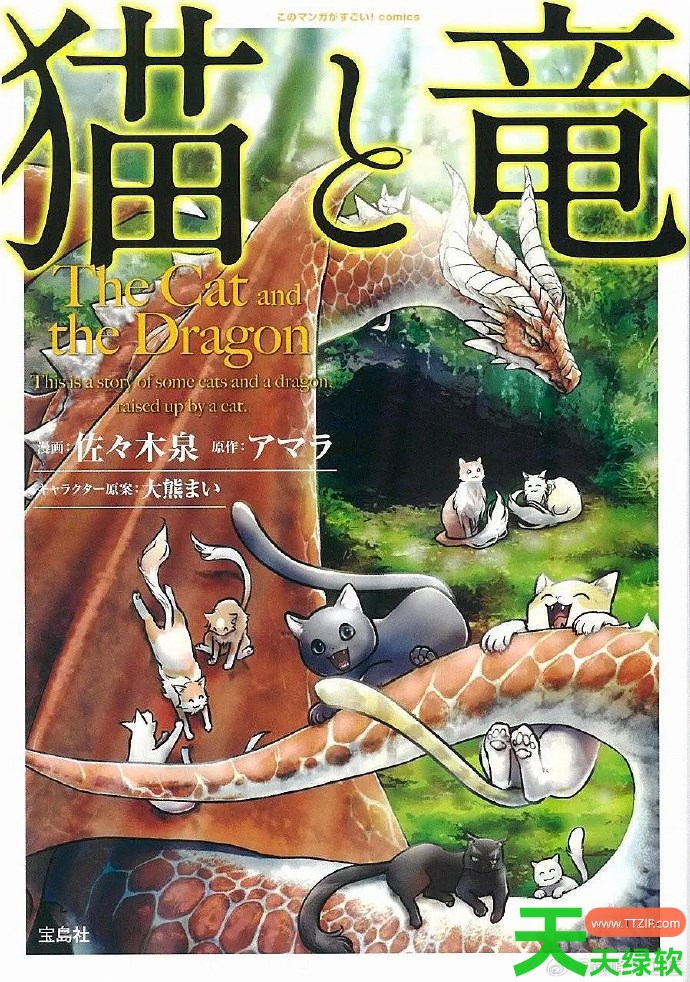 猫与龙什么时候播出 猫与龙播出时间
