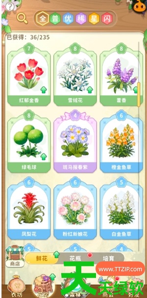 织梦森林攻略大全图文(织梦森林零氪玩法分享) 织梦森林攻略大全图文(织梦森林零氪玩法分享)