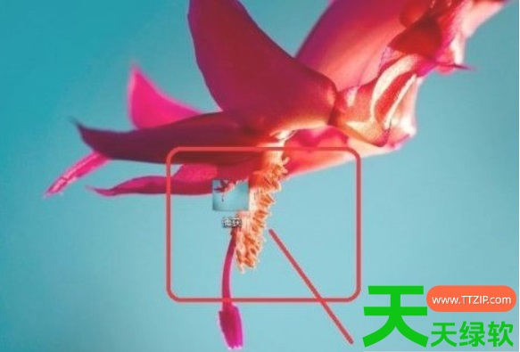 画图3D如何使用?画图3D入门教程 画图3D如何使用?画图3D入门教程
