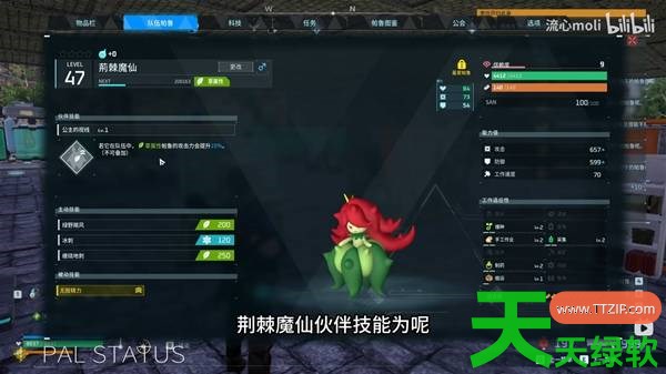 幻兽帕鲁前中期草系AOE什么阵容 幻兽帕鲁前中期草系AOE阵容推荐 幻兽帕鲁前中期草系AOE什么阵容 幻兽帕鲁前中期草系AOE阵容推荐