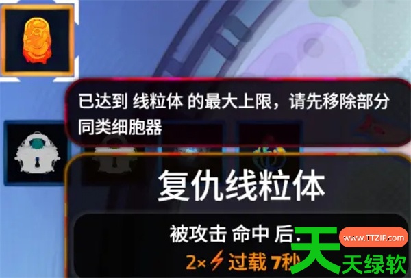 致病本源自爆蠕虫流玩法搭配推荐分享 致病本源自爆蠕虫流玩法搭配推荐分享