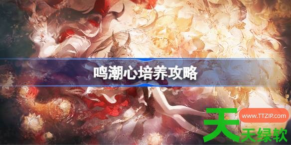 鸣潮心培养攻略 鸣潮心声骸武器阵容推荐 单机游戏攻略, 图文攻略, 心培养攻略, 心声骸武器阵容, 鸣潮, 鸣潮攻略, 鸣潮最新资讯