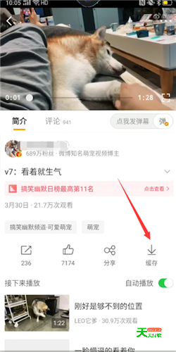 微博保存视频至本地教学方法