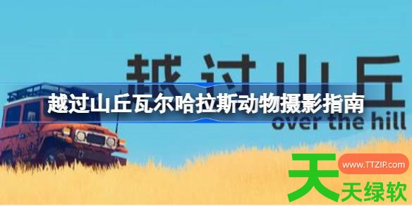越过山丘瓦尔哈拉斯动物怎么拍摄 越过山丘瓦尔哈拉斯动物摄影指南 单机游戏攻略, 图文攻略, 越过山丘, 越过山丘攻略, 越过山丘最新资讯, 越过山丘瓦尔哈拉斯动物摄影指南