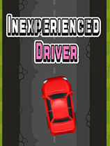 [赛车竞速RAC]新手司机 Inexperienced Driver 免安装绿色版