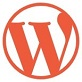 WP Rocket -WordPress 火箭缓存加速插件 – 最新3.12.6
