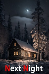 [动作射击STG]下一个夜晚 NextNight 官方中文 免安装绿色中文版