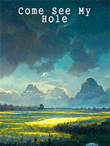 [休闲益智PUZ]来看看我的洞 Come See My Hole 免安装绿色版