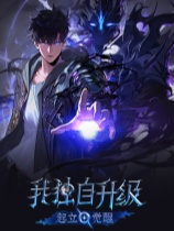 [动作游戏ACT]我独自升级：起立·觉醒 Solo Leveling: ARISE OVERDRIVE v1.1.71.0|支持联机 中文绿色版