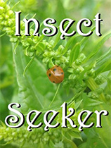 [休闲益智PUZ]昆虫探寻者 Insect Seeker 官方中文 免安装绿色中文版
