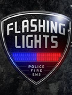 [模拟经营SIM]警情，消防，急救 Flashing Lights 免安装绿色中文版 v20251218|集成dlc|官方中文